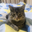 migvel_ user image