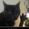psypherx101 user image