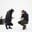 test user image