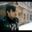Andrey Achckasov user image