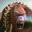 Scar king user image
