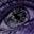XL Virus user image