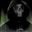Anonymous Hacker user image