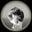 David John Contillo user image