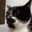 Borb Email user image