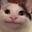 Lizz user image