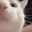 mariomaniac 6000 user image