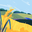 Wheat user image