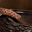 Miscose user image