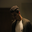 Abdallah Elaraby user image