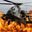 Apache ah64 helicopter guy user image