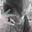 Carlos Lemos user image