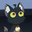 Claire Rabbit user image