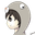 Esponjosin user image
