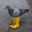 Dripsia user image