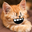 Caleb Medina user image