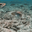 lasagnaman_56592 user image