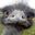 Ronald Lewis user image