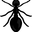 Ants On His Willy user image