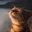 RedSlime sponsors user image