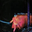 Creative capitals user image