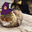 LADARRADA YT user image