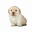 aaaaaaaaaaaaa user image