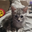 AkistukY tm user image