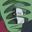 zetsu gamesbr user image