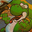 Yoshi The Ramdom  user image