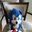 Vitors Sonic user image