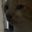Z_jeffy_Z user image