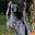 TheRealGrimReaper user image