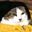 ewfiwfiewfij potocacapishi user image