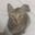 Ron_original user image