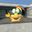 Lemmy Koopa user image