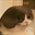 NE KO user image