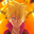 Skylar siegfried user image
