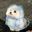 beebee super user image
