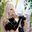 A2 Carry user image