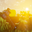 Johnny Gaming / SMJS user image