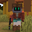 Even user image