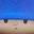 Pocoyo Cute user image