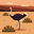 _franciscopacheco user image