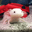 Funis user image