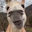archie bartlett user image