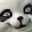 Panda Gamer user image
