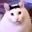 Rafie user image