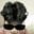 Ramdhan Ilham user image