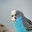 windowss1345 user image